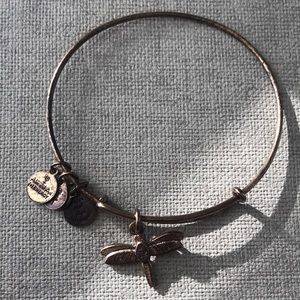 Alex and Ani Dragonfly Bracelet